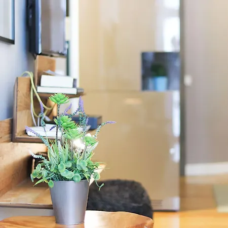 Daire Modern Chiado By Homing *